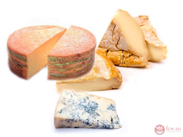 Особенности выбора сыра с плесенью