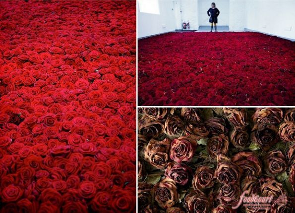 Жизнь и смерть 10 000 алых роз