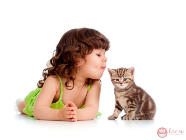 Дети и кошки: какую породу выбрать?