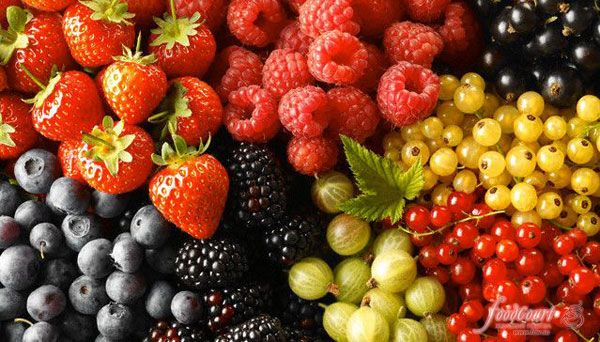 Как заморозить овощи, фрукты и ягоды